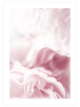 Pink Dream - Art Print